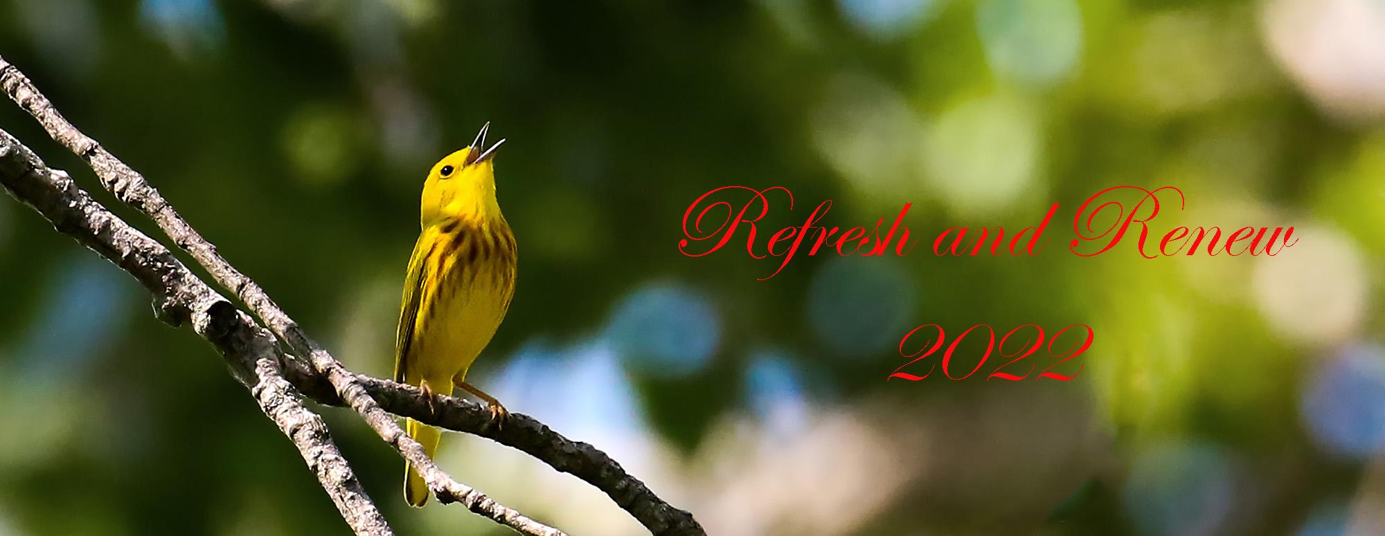 Warbler singing Refresh and Renew 2022